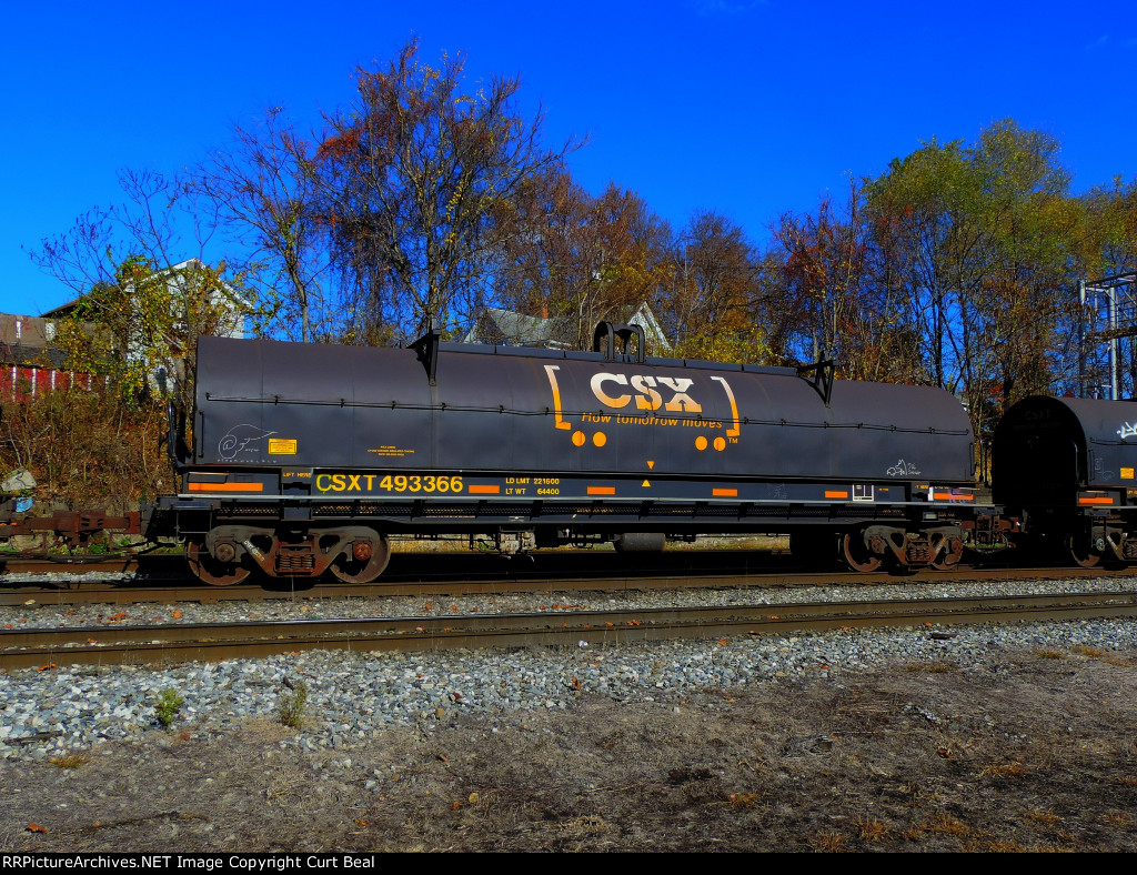 CSX 493366